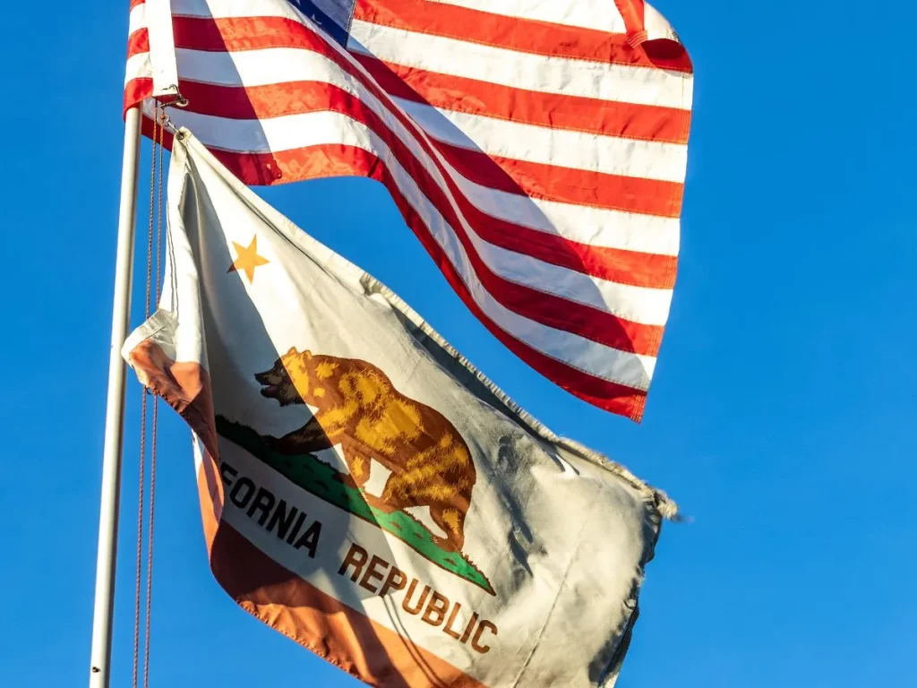 What Is a State Flag?