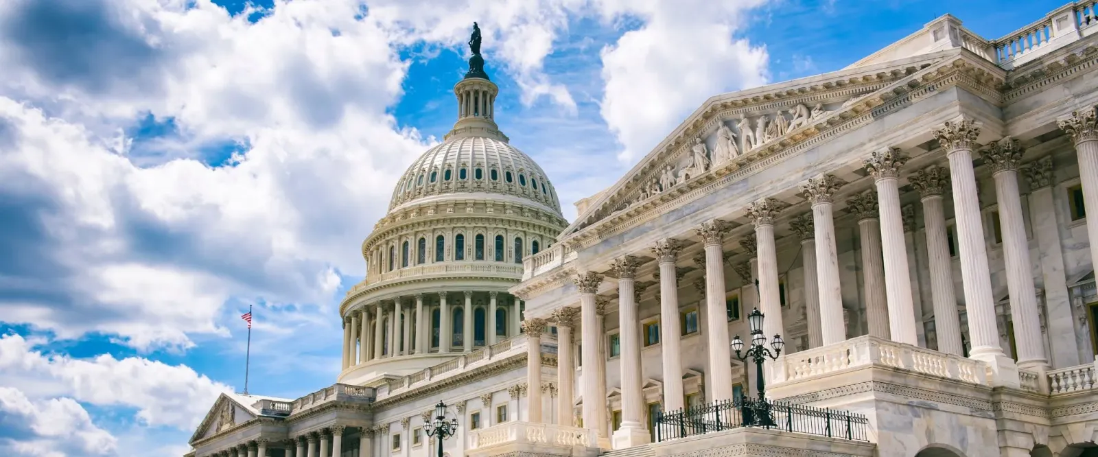 What Are the Pros and Cons of Term Limits in Congress?