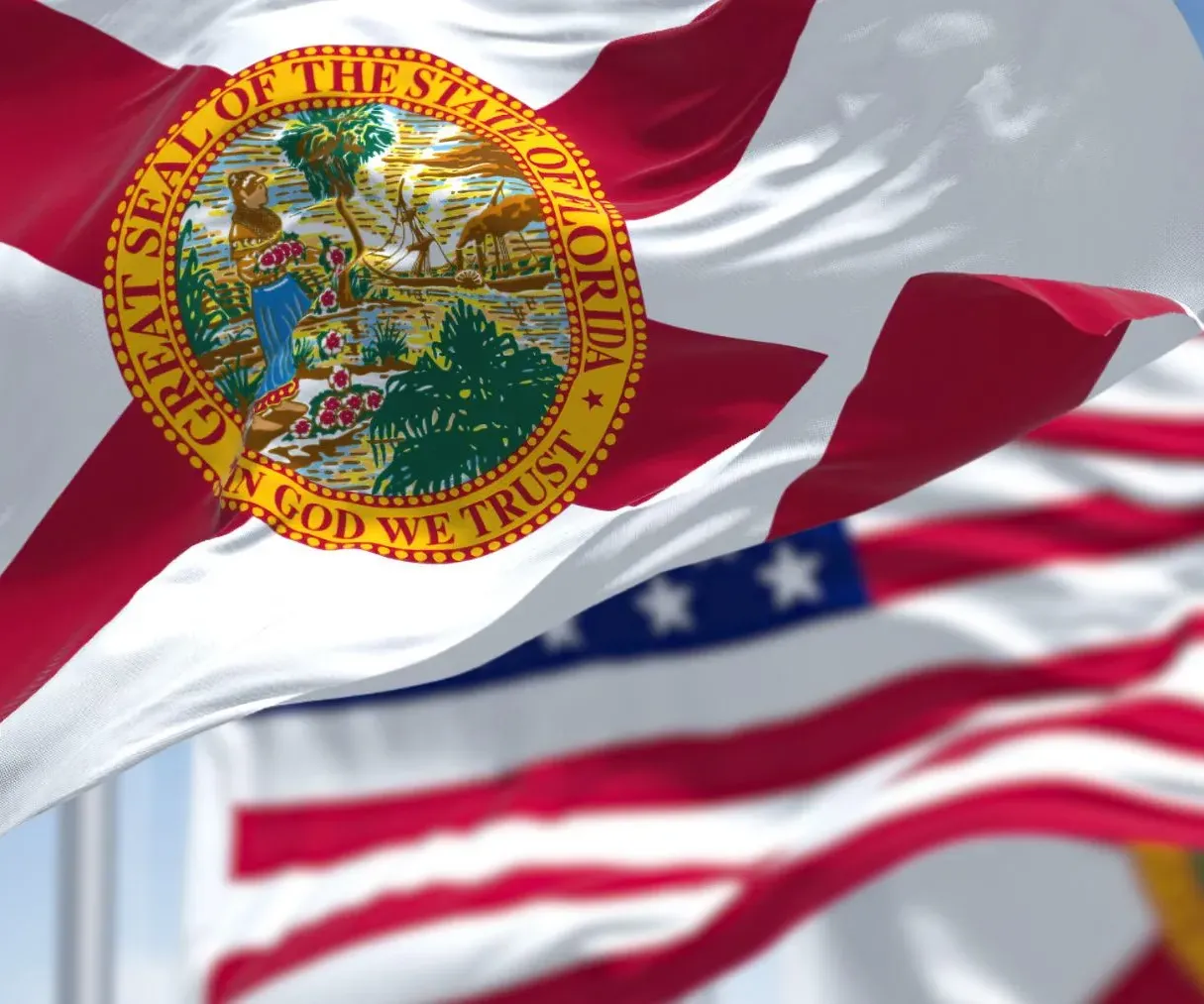 What Is a State Flag?